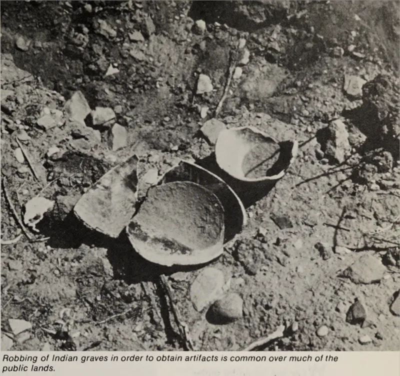 Partners in the Past: The Growing Role of Indigenous Knowledge in Shaping Archaeological Practice