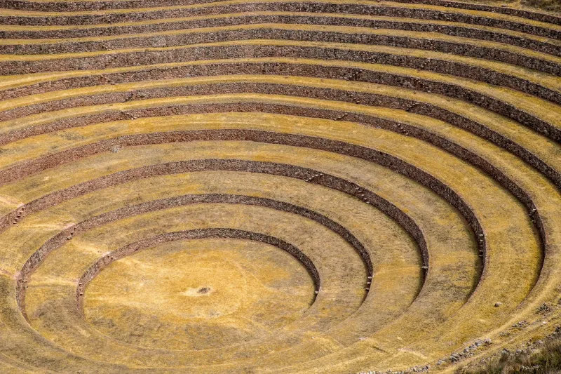 What the Textbooks Left Behind: Indigenous Innovation and the Archaeology Curriculum Gap