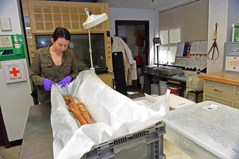 Lost in Translation: Why America's Most Significant Archaeological Discoveries Rarely Reach the Public