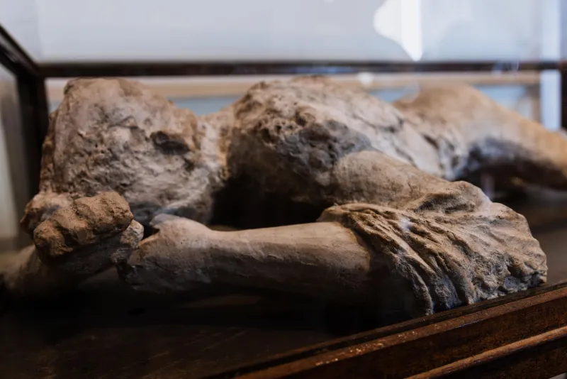 Saving What Time Has Nearly Taken: Inside the Science of Archaeological Conservation